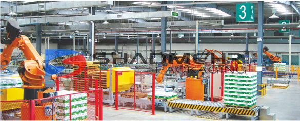Robotic palletising cell at the end of a bottling line